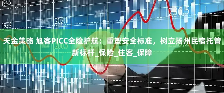 天金策略 旭客PICC全险护航：重塑安全标准，树立扬州民宿托管新标杆_保险_住客_保障