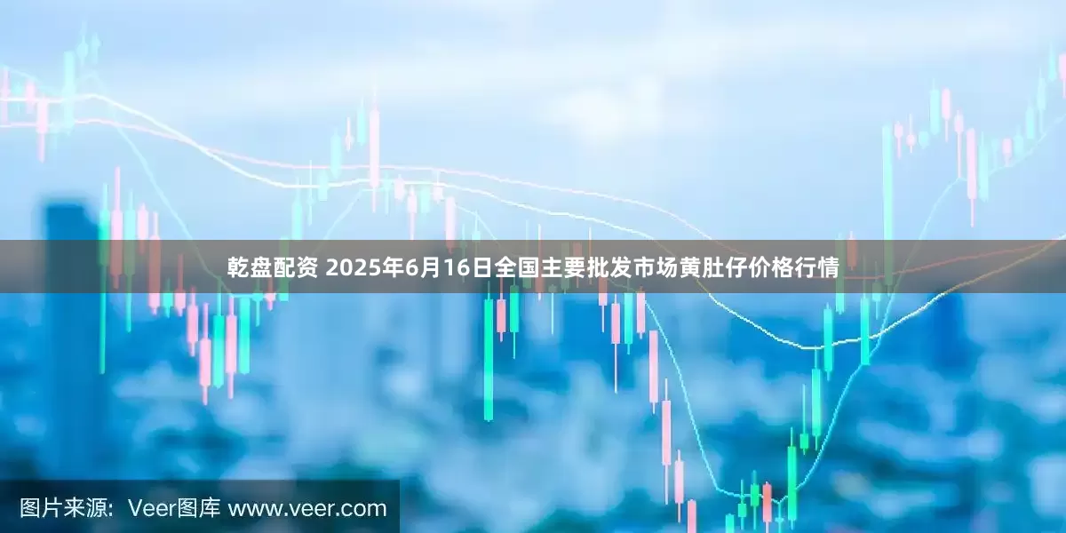 乾盘配资 2025年6月16日全国主要批发市场黄肚仔价格行情